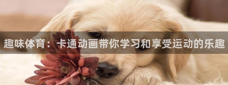 3377体育官方正版app代理:趣味体育:卡通动画带你学习和