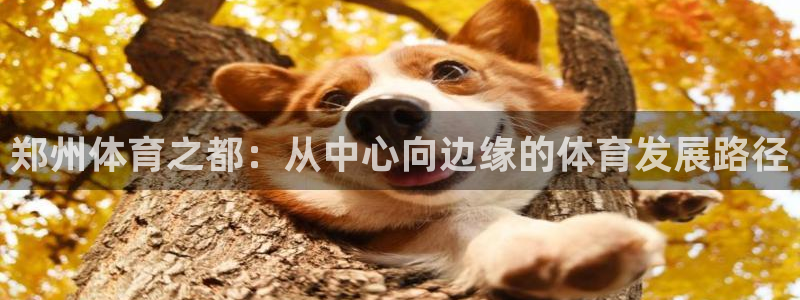 3377体育官网下载平台注册流程视频:郑州体育之都:从中心向