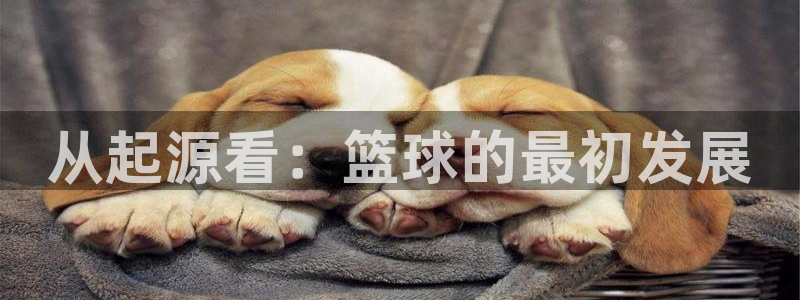 3377体育官方正版app娱乐:从起源看:篮球的最初发展