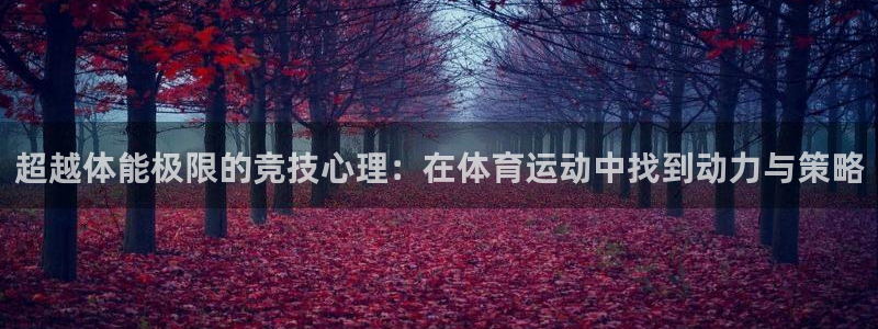 3377体育官网下载平台是正规平台吗安全吗:超越体能极限的竞